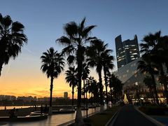 -金沙湖公园