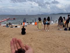 -大梅沙海滨公园