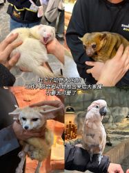 -Zoolung Zoolung动物主题公园(海信广场店)