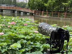 -黄兴公园