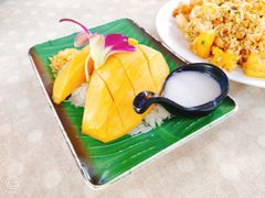 -Jungle Kitchen