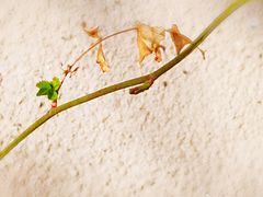 -天津东丽湖风景区