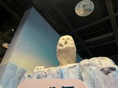 -陕西自然博物馆