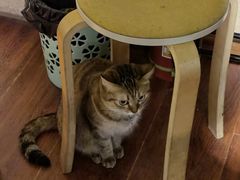 -H立方实景剧情密室(天河旗舰店)