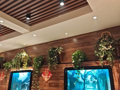 -新侨小馆(东直门北小街店)
