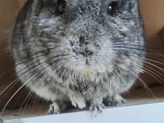 -雨林宠物医院 非犬猫异宠专科
