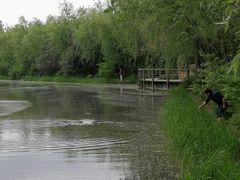 -新江湾城公园