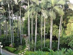 -人民公园(罗湖区)