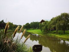 -南湖湿地公园