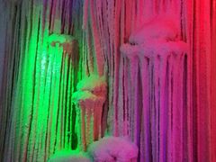 -水晶之星洗浴温泉汗蒸