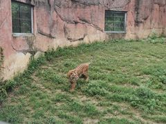 -无锡动物园·太湖欢乐园