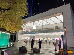 -Apple零售店(成都太古里店)