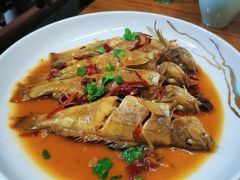 -老家黄墩小错鸡·活海鲜