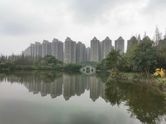 -成都南湖公园