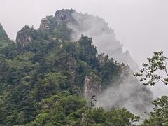 -牛背梁国家森林公园