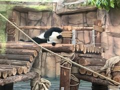 -泉州海丝野生动物世界