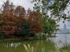 -月湖风景区