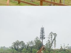 -黄龙溪欢乐田园
