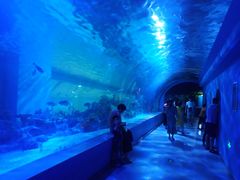 -常州海昌海洋探索馆