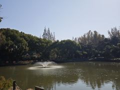 -瀛洲公园
