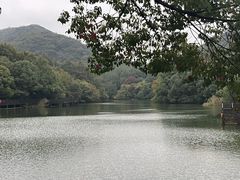 -白马涧龙池景区