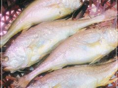 -龙眼南白粥六顺白粥