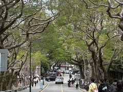 -厦门大学(思明校区)