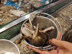 -初色海鲜自助(万丰路店)