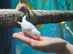 -南宫五洲植物乐园