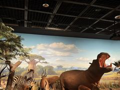 -陕西自然博物馆