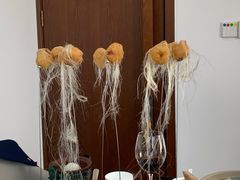 焦糖榴莲拉丝-食神鱼头佛跳墙(百子湾旗舰店)