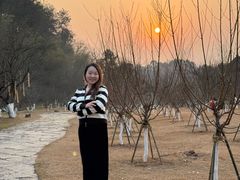 -常德桃花源景区