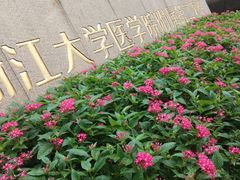 -浙江大学医学院附属第二医院(解放路院区)