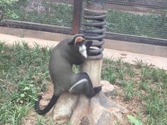 -石家庄市动物园