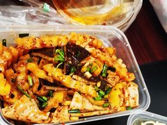 -爪爪西施