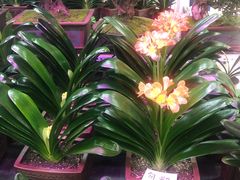 -三旗百汇商品城