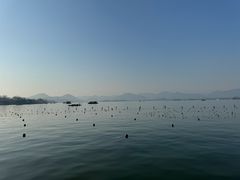 -西湖游船