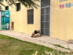 -西安秦岭野生动物园
