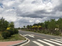 -吉林大学(前卫南区)