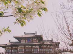 -西安青龙寺遗址景区