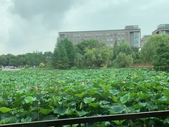 -3W咖啡(国家软件园店)