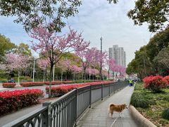 -黄兴公园