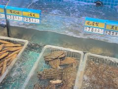 -启东小海鲜(庄先湾路1号店)
