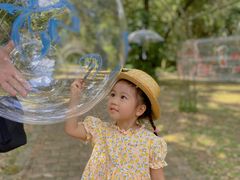 -南宁良凤江国家森林公园