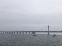 -星海湾跨海大桥