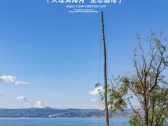 -洱海月湿地公园