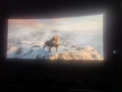 -奥斯卡升龙国际影城(RealD Cinema)