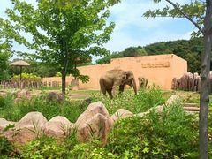 -沈阳森林动物园