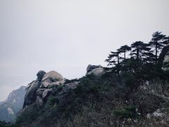 -天柱山风景区