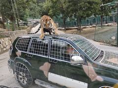 -栾川竹海野生动物园